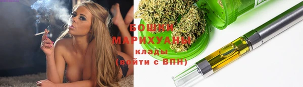 ПСИЛОЦИБИНОВЫЕ ГРИБЫ Баксан