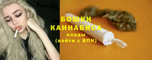 мдпв Пересвет