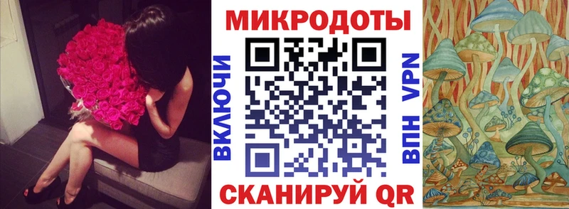 Псилоцибиновые грибы ЛСД  блэк спрут сайт  Ветлуга 